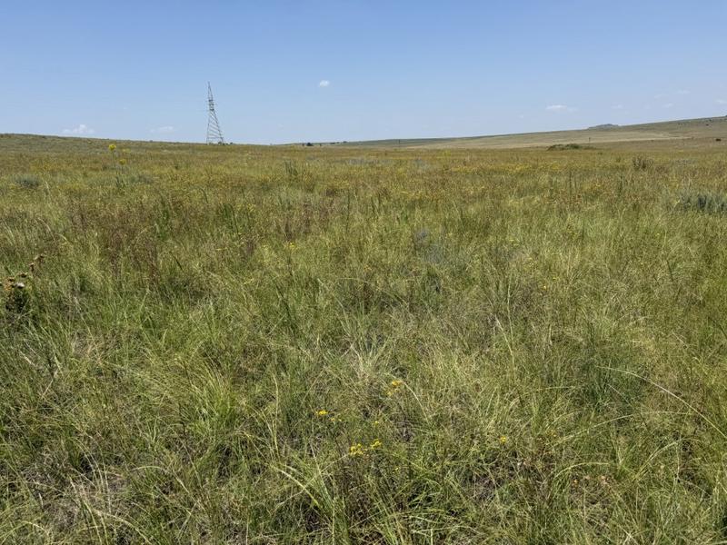 0 Bedroom Property for Sale in Bethlehem Rural Free State